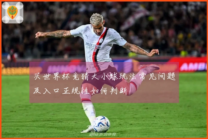 买世界杯竞猜大小球玩法常见问题及入口正规性如何判断