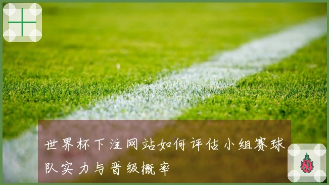 世界杯下注网站如何评估小组赛球队实力与晋级概率