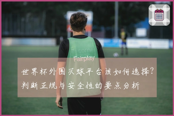 世界杯外围买球平台该如何选择？判断正规与安全性的要点分析